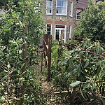 Fencing Palmers Green North London 03