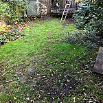 Lawn Care Turfing Wembley 01 Before