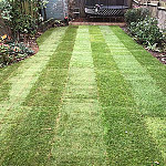 Lawn Care Turfing Wembley 03 After
