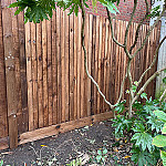 Garden fencing 2 hampstead nw3
