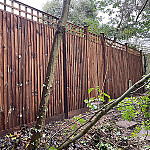 Garden fencing 3 hampstead nw3