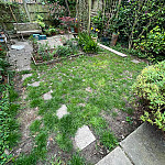 Garden makeover hampstead nw3 01 before