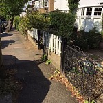Gardening services finchley n3 north london 1