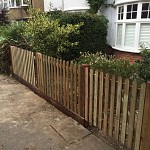 Gardening services finchley n3 north london 2
