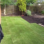 Gardening services muswell hill n10 london 11