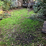 Lawn Care Turfing Wembley 01 Before